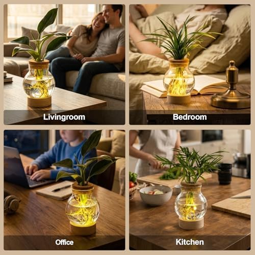 Propagation Stations, Plant Propagation Station with Light Base, Glass Propagation Vases, Hydroponic Vase for Plants, Glass Terrarium for Home Office Windowsill Tabletop Decoration (2) - Image 4