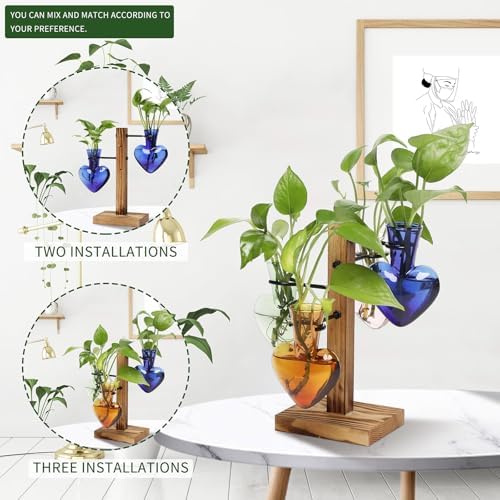 Plant Terrarium Propagation Stations with Wooden Stand - Image 5