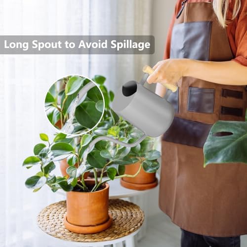 Watering Can Indoor Plants, 35oz Small Indoor Stainless Steel Metal Watering Can Modern Decorative Watering Pot with Long Spout for Indoor House Plant Bonsai Garden Flowers (Gray) - Image 2