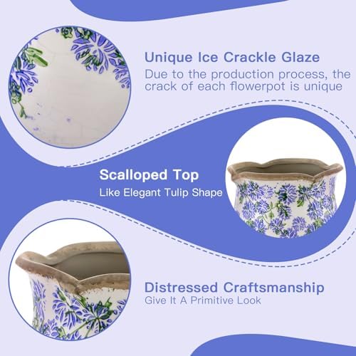 Ceramic-Planters-for-Indoor-Plants with Saucer, 6 inch Vintage Ice Crackle Glaze Plant Pots with Drainage Holes, Decorative Flower Pots for Outdoor Garden Home Decor, Tuscan Pot for Plant - Image 6