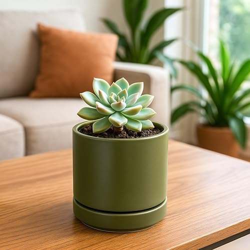 D'vine Dev 4.7 Inch Ceramic Planter Pot, Olive, 94-O-B-J - Image 6