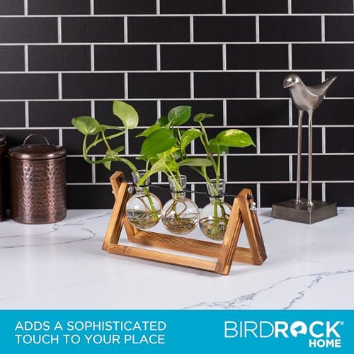 BIRDROCK HOME Plant Propagation Station | 3 Bulb Vase with Wooden Stand Terrarium | Great Gift Idea for the Home Office Garden | Hydroponics Plants - Image 6