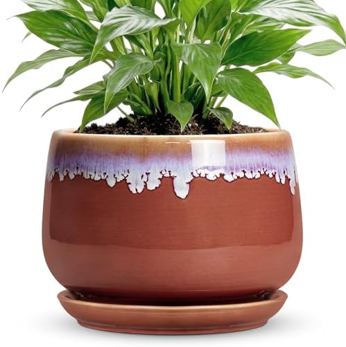 Ceramic Pots for Plants 7 Inch - Ceramic Planters for Indoor Plants, Indoor Plant Pots with Drainage and Saucer, Decorative Round Flower Pot, Garden House Room Decor, Plant Gifts, Red-Purple by Fivepot