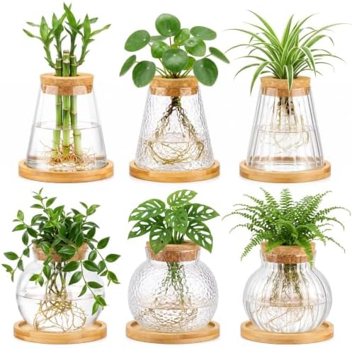 Honeydak 6 Pcs Plants Propagation Stations Planter Terrariums with Wooden Lid and Bamboo Stand Hammered Glass Propagation Vases for Plant Growing Hydroponic Home Office Tabletop Decoration by Honeydak