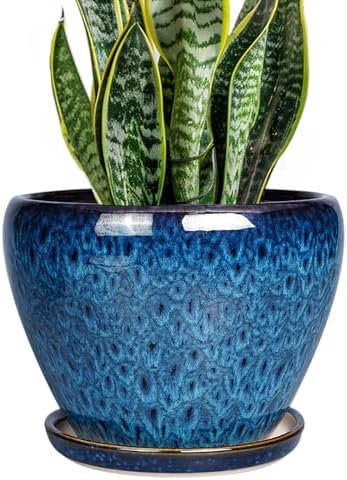 Ceramicfor 8 Inch Ceramic Plant Pot, Ceramic Planter Pot for Indoor Outdoor Plants, Round Flower Pot with Drainage Hole and Saucer, Blue by Ceramicfor