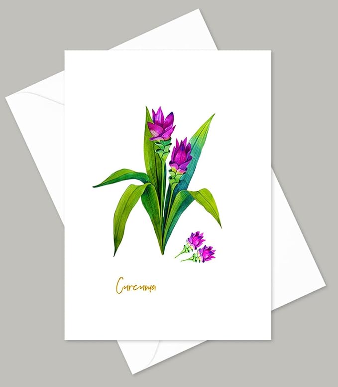 Vintage Herb Greeting Cards, 5x7 Inches, Set of 10 with Decorative Stickers, Blank Inside.