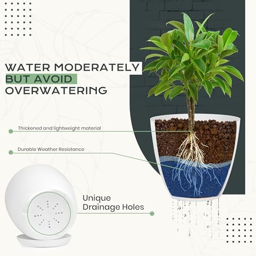 Plant Pots Indoor with Drainage, 10 Pack Multi-Size Planters Set, White - Image 3
