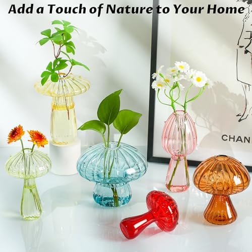 Plant Propagation Station, Set of 6 Colored Glass Mushroom Vase - Image 3