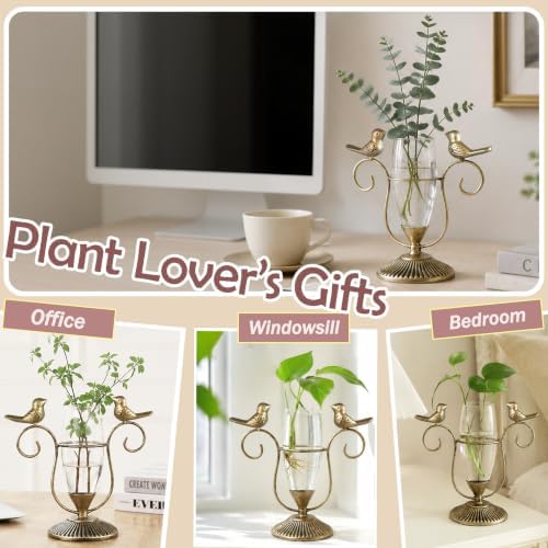 Desktop Hydroponic Glass Propagation Vases for Plants, 8.26"×7.9" - Image 2