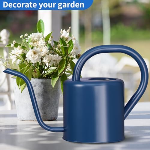 Watering Can, Stainless Steel Watering Can for Indoor & Outdoor Plants, 1L/35oz Long Spout Water Can with Handle, Rust-Proof Plant Watering Pot for House Plants, Garden Flowers - Image 4