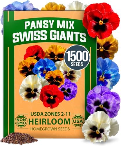 HOME GROWN Pansy Swiss Giants Mix Seeds, 1,500 Seeds, Viola × wittrockiana by HOMEGROWN