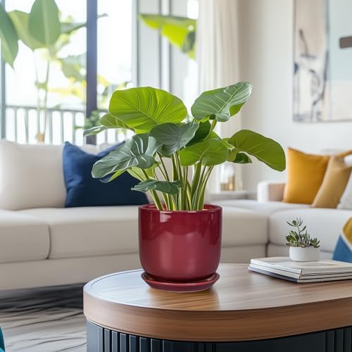 Ceramic Planter for Plants - Round Modern 7 Inch Plant Pot Indoor with Drainage Hole and Saucer, Home Patio Office Apartment Decor, Red - Image 2
