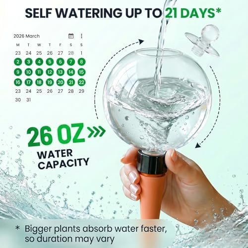 4 Pack 26 oz Extra Large Plant Self Watering Globes to 3 Weeks Watering - Image 2