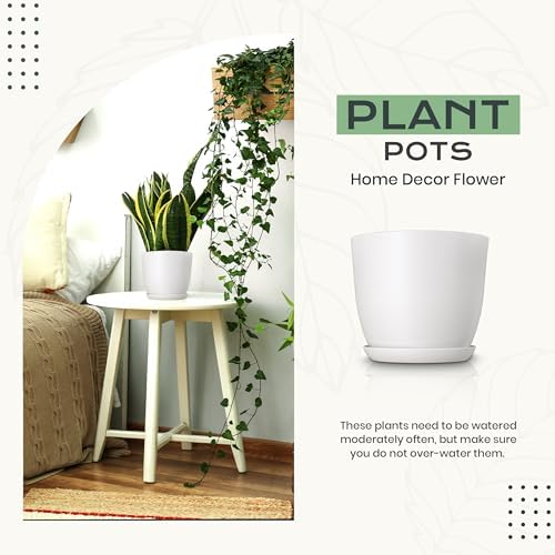 Plant Pots Indoor with Drainage, 10 Pack Multi-Size Planters Set, Grey - Image 6