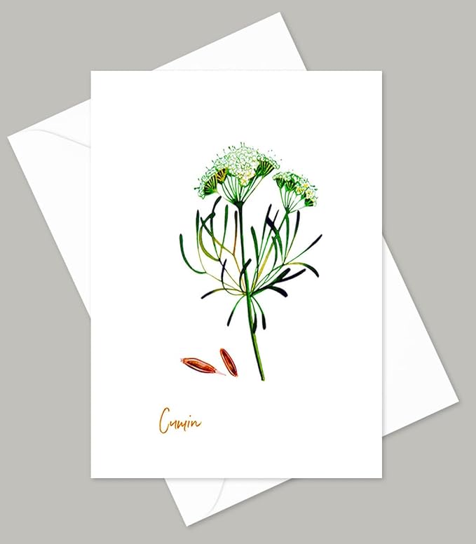 Vintage Herb Greeting Cards, 5x7 Inches, Set of 10 with Decorative Stickers, Blank Inside.