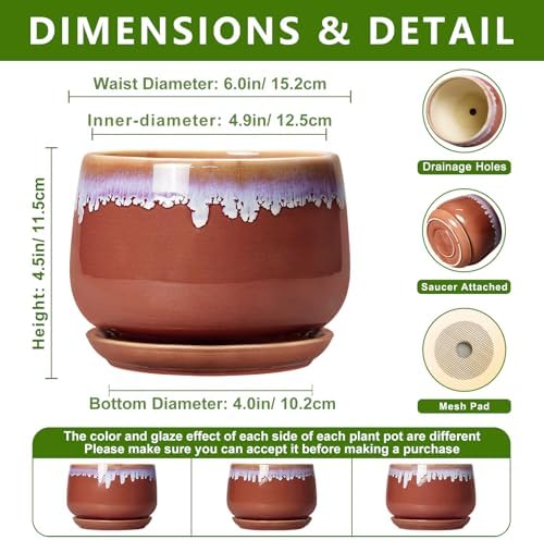 Ceramic Plant Pot - 6 Inch Planters for Indoor Plants, Round Ceramic Planter with Drainage Hole and Saucer, Decorative Small Plant Pots, Room Bookshelf Decor, Red-Purple - Image 2