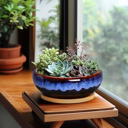 SQOWL 7 Inch Round Ceramic Succulent Planter Pot Drip Glazed Shallow Planter with Drainage Bamboo Tray for Indoor Plants - Image 3
