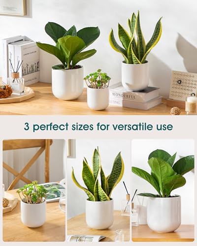 vancasso Ceramic Plant Pots, 4+5+6 inches, Set of 3, Planters with Drainage Hole, Flower Pots Planters Pots for Indoor Plants, Modern Indoor Decorative Garden Pot, Home Decor, White - Image 5