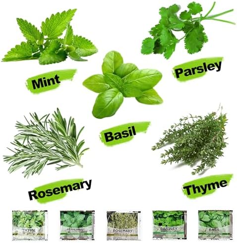 Meekear 5 Herb Indoor Starter Kit, Complete Planting Set for Kitchen Herb Garden DIY & Gift - Image 3