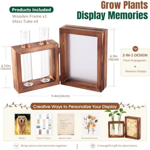Plant Propagation Station with Wooden Picture Frame, Desktop Home Decor - Image 2