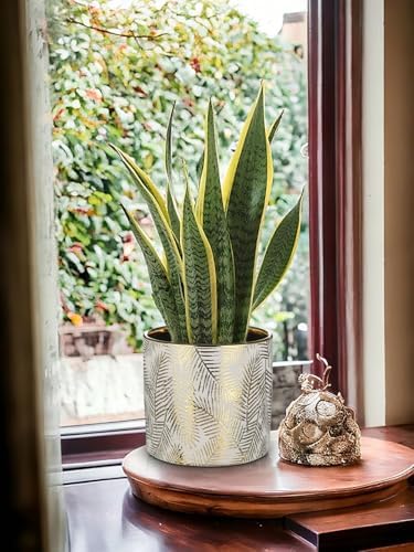 Oairse Small Ceramic Pot for Indoor Plants, 5.3 inch Plant Pot with Drainage Hole Decorative Texture Gold Planter Indoor Outdoor Flower Pots for Succulent Snake Plant Pothos Orchid - Image 6
