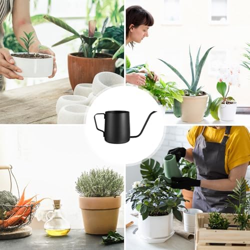 Plant Watering Can, 12 oz / 350 ml Stainless Steel Plant Watering Pot Small Watering Can with Long Spout for Indoor House Plants Flower Bonsai Outdoor Garden - Image 7