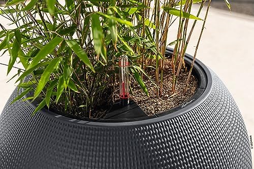 Lechuza Puro Color 50 Slate, Self-Watering Large Round Planter, D19.7 H15.4 in - Image 7