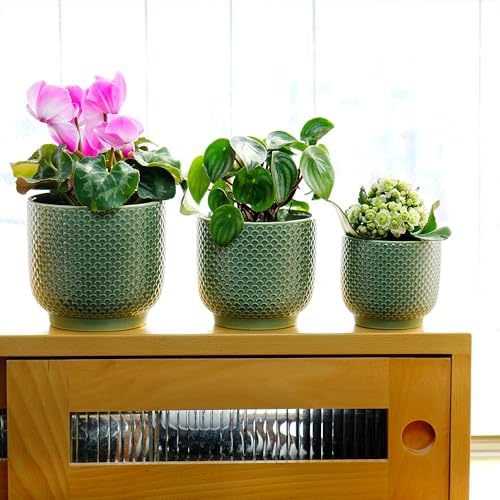 4 + 5 + 6 Inch Ceramic Pots for Indoor Plants, Succulents Plant Pots, Orchid Flower Pot with Drainage Hole, Modern Clay Stoneware Planters, Set of 3 (Green, 4+5+6 Inch) - Image 5