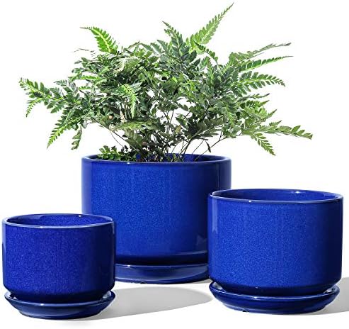 LE TAUCI Ceramic Plant Pots, 4.3+5.3+6.8 inch, Set of 3, Planters with Drainage Hole and Saucer, Indoor Flower Pot with Hole Mesh Pad, Gifts for Mom, Sapphire Blue by LETAUCI