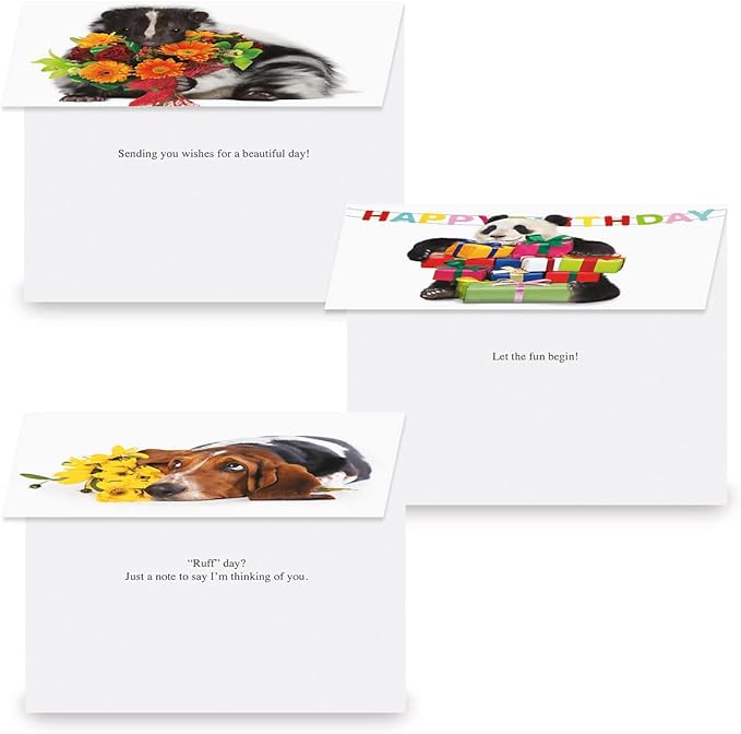 Current Big Bouquet Animal All Occasion Value Pack - 20 Cards With Envelopes, Celebration, Get Well, Sympathy, Birthday, Anniversary & Thinking of You Variety, Large 5" x 7" Assortment, 10 Design Set