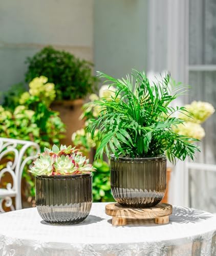 Melphoe Self Watering Pots for Indoor Plants Planter, 6.5 Inch 2 Pack Planters Self Watering Plant Pots for Flower, Houseplants, Succulent, African Violets and Cactus with Drainage - Image 3
