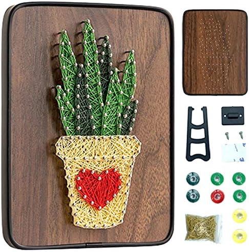 DIY String Art Kit for Beginner, Unique Gift,Craft Kit for Holidays,DIY Aloe Craft Kit by BAZIMA+ALICE