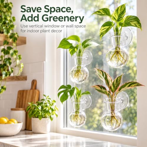 8 Pack Window Propagation Stations, Plastic Plant Terrarium Vases - Image 6
