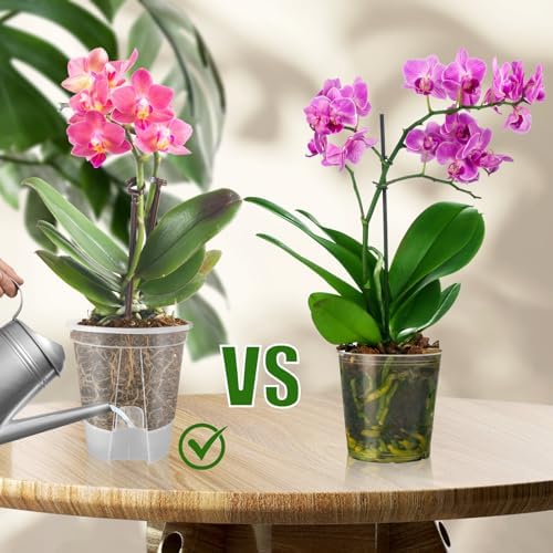 Cdd's Path 5-Pack 6 Inch Self Watering Naked Root Planter Pots with Drainage Holes & Reservoir, Plastic Planters with Air Pipes for Indoor Outdoor Plants，Clear - Image 4
