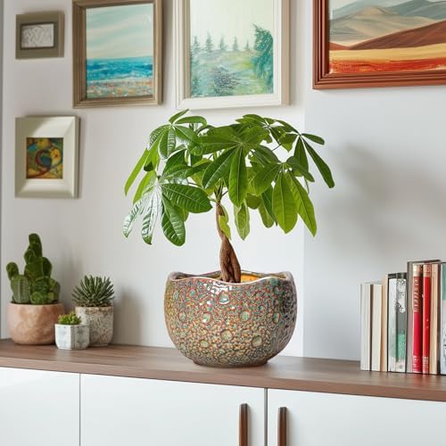 8 Inch Plant Pot - Ceramic Planter for Indoor Outdoor Plants, Unique Pots for Plants with Drainage Hole and Plug, Round Planter, Garden Decor, Gifts for Plant Lovers, Speckled-Brown - Image 6