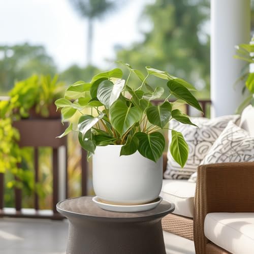 Ceramic Plant Pot - Modern 8 Inch Round Planter for Indoor Outdoor Plants with Drainage Hole and Saucer, Home House Room Office Decor, White - Image 4