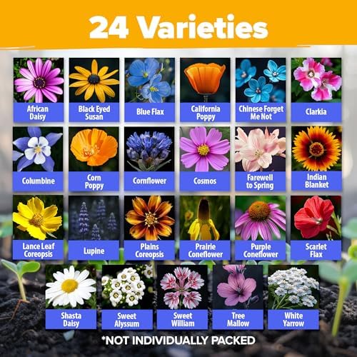 HOME GROWN 24 Wildflower Variety Mix 90,000+ Flower Seeds 3 oz - Image 2