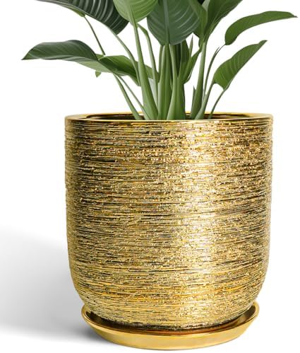 Ceramic Pots for Plants 12 Inch - Ceramic Planter for Indoor Outdoor Flowers, Cylinder Modern Flower Pot with Drainage Hole and Saucer, Patio Home Decor, Gifts for Plants Lovers, Gold by SUNPOTFOR