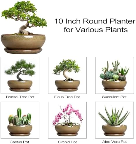 SQOWL Bonsai Planter, 10 Inch Ceramic Succulent Pots with Saucer, Brown - Image 7