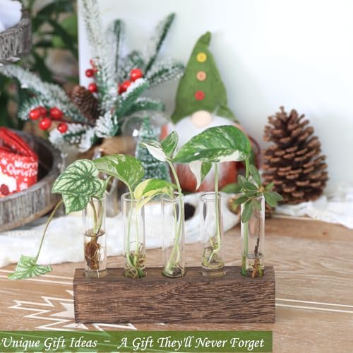 KAXYEW Desktop Glass Plant Propagation Station Test Tube Plant Terrarium in Wooden Stand for Hydroponic Plants Cutting Office Home Decoration Gift for Women (5 Test Tubes-BR) - Image 2