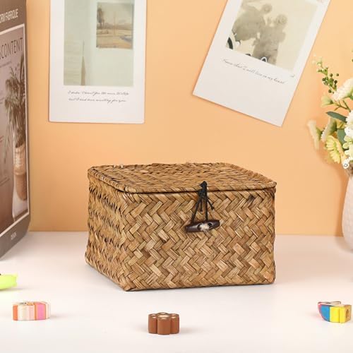 Hipiwe Wicker Shelf Basket Bin with Lid X-small Square Seagrass Storage Box - Image 3