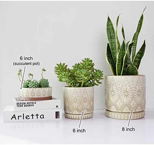 8 Inch Indoor Plant Pot with Drainage Holes and Saucers, Ceramic Planter for Plants, Succulent Orchid Flower Pots - Image 6
