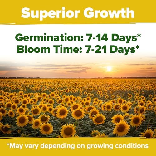 HOME GROWN Sunflower Mix Seeds, 8 Variety, 1,000+ Seeds - Image 4