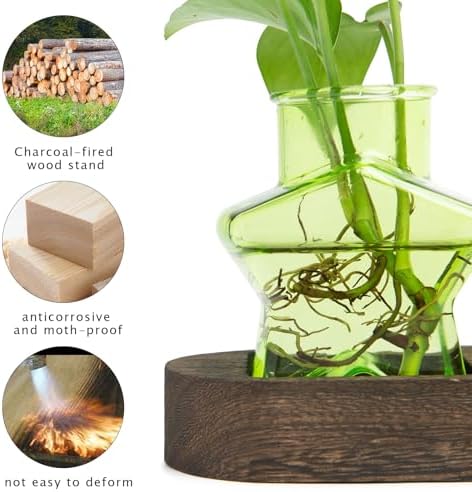 XXXFLOWER Plant Propagation Station with Wooden Stand 3 Green Star Jars - Image 6