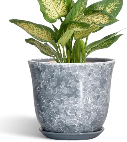 Ceramic Planter, 6 Inch Plant Pot for Indoor Plants, Grey by SUNPOTFOR