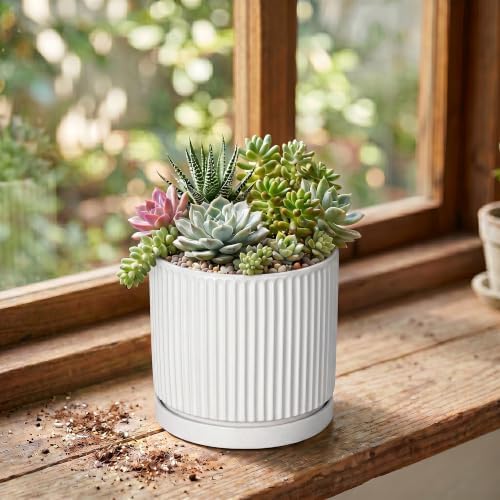 Ceramic Pots for Plants, 4 Inch Plant Pots with Saucer, White - Image 3