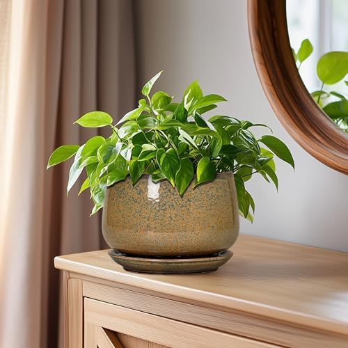 G EPGardening 6 Inch Plant Pot - Ceramic Succulent Pots with Drainage and Ceramic Tray, Round Planter for Indoor Outdoor Plants, Decorative Flower Pots, Home Decor, Gift for Women Men, Speckled Brown - Image 7