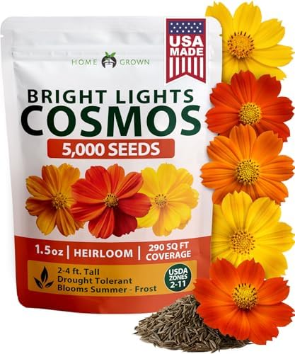 HOME GROWN Cosmos Bright Lights Mix 5000 Flower Seeds Cosmos sulphureus by HOMEGROWN