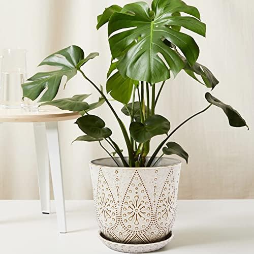 Gepege 8 Inch White Ceramic Plant Pot with Drainage & Saucer - Image 5