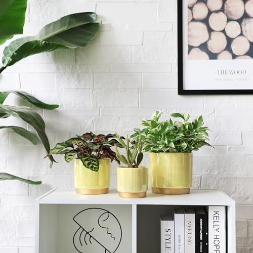Gepege Ceramic Plant Pots for Indoor Plants, Planters with Drainage Holes - Image 7